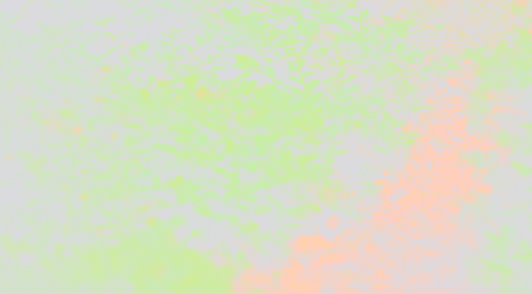 "This Pride, let us recommit to sex work solidarity" by Marcus McCann