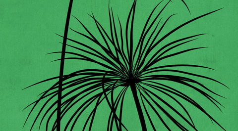 New Vocabularies for Queer Lives with Iryn Tushabe