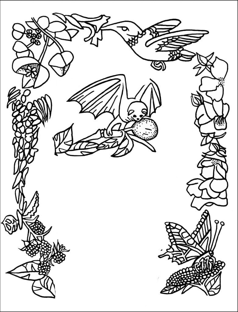 A Sample Colouring Page from The Joyful Living Colouring Book