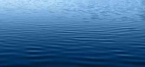 Peter Behrens Wins the Vine Award for Canadian Jewish Literature