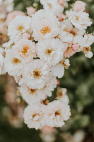 Praise for The Break by Katherena Vermette