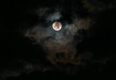 Blood Moon by Lynn Crosbie