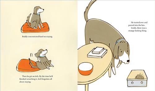  This image is a double page spread. To the left are two scenes. First, a brown and white dog sits on a red dog bed. Second, the dog scratches itself. Text: Buddy concentrated hard on staying. Then he got an itch. By the time he’d finished scratching it, he’d forgotten all about staying. To the right, the dog is beside a coffee table. The dog looks into a small box beside the coffee table. Text: He trotted over and peered into the box. Inside, there was a strange-looking thing. 