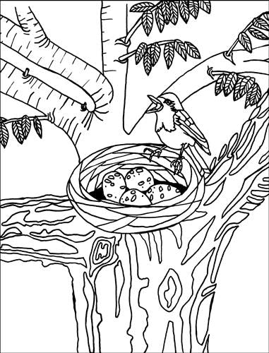 Mindwaves Calming Colouring Book - Joyful