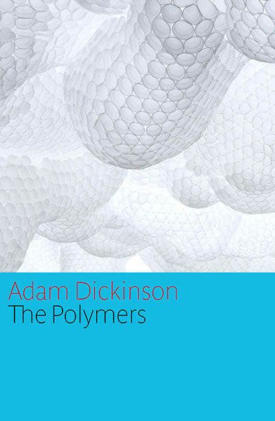  The Polymers 