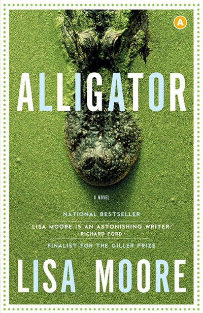  Alligator 