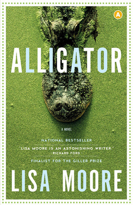  Alligator 