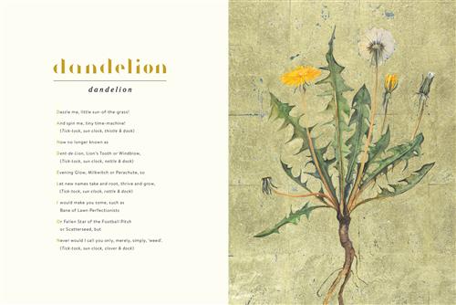 The Lost Words – House of Anansi Press