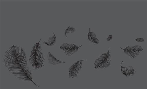  This image is in shades of black and grey. Grey feathers float through the air. There are thirteen feathers of different sizes. 