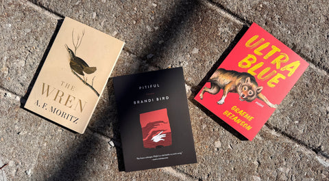 The Poet's Point of View: Graeme Bezanson, Brandi Bird, and A. F. Moritz