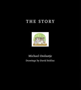  The Story 