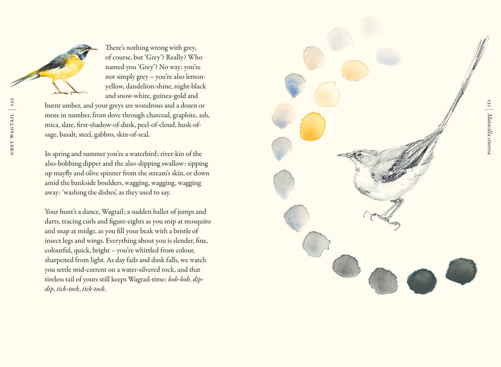  The Book of Birds 
