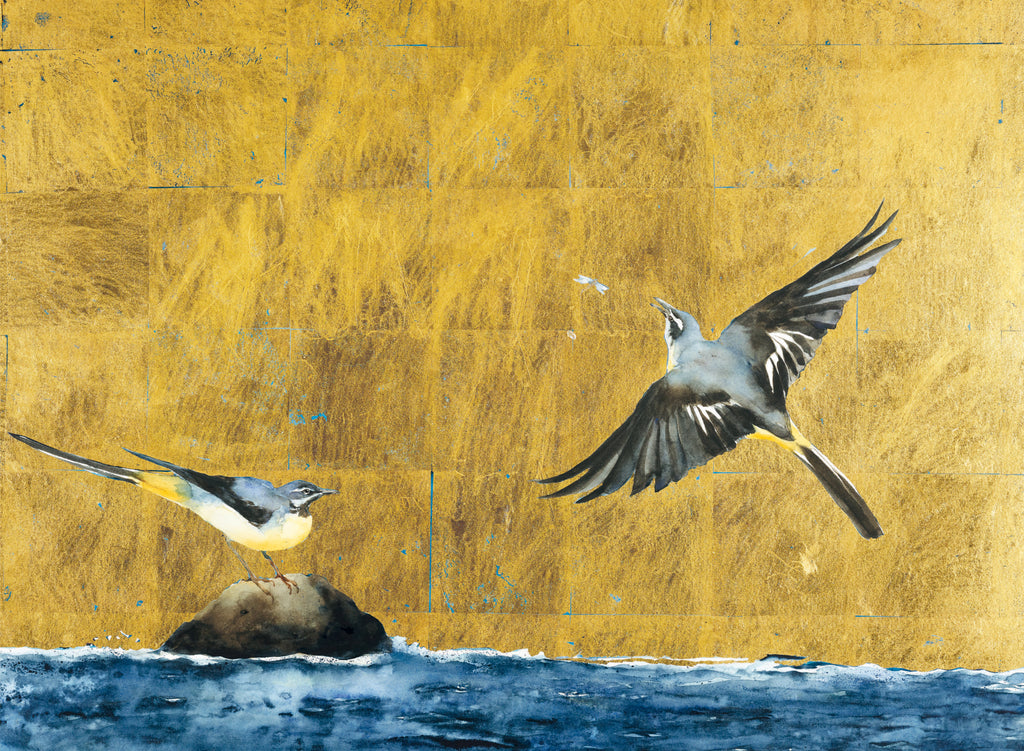  The Book of Birds 