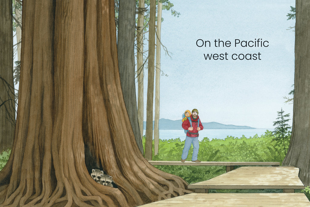  An enormous tree trunk grows up to tower past the top of the page. Two raccoons sit in the roots of the tree which continue to a wooden walkway among the trees. A father carries a small child in a pack on his back. The father has light skin tone, a light brown beard, and wears a toque, a red jacket and jeans. The child has light skin tone and light brown hair peeking out from under their yellow hooded jacket. Ocean and mountains are visible in the distance. Text: “On the Pacific west coast” 
