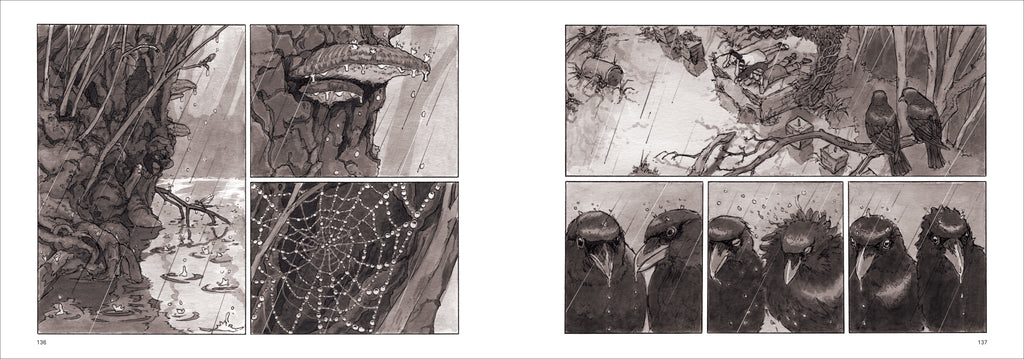  Two pages side by side, broken into panels, show rain falling in a forest, dripping off mushrooms, spider webs, and crows. The crows shake their feathers to get off the rain. From a bird's eye view, we see two children at the edge of a pond, watching the rain. 