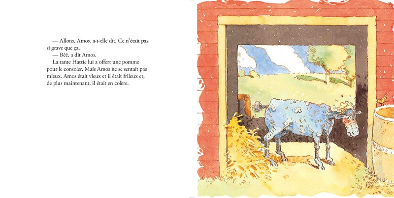  Le chandail d’Amos 