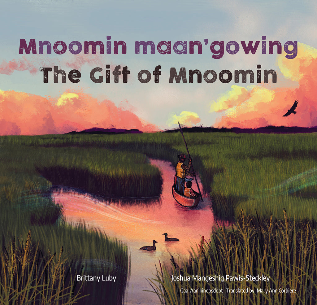 Mnoomin maan’gowing/The Gift of Mnoomin. Written by Brittany Luby, illustrated by Joshua Mangeshig Pawis-Steckley, translated by Mary Ann Corbiere. A field of mnoomin plants grow in the water, where a canoe holds three people. A man stands in the canoe holding a long pole that extends down into the water. Two ducks swim in the foreground, where ripe seed heads of mnoomin appear. An eagle soars against a background of pink and gold clouds. A faint brushstroke flows across the scene. 