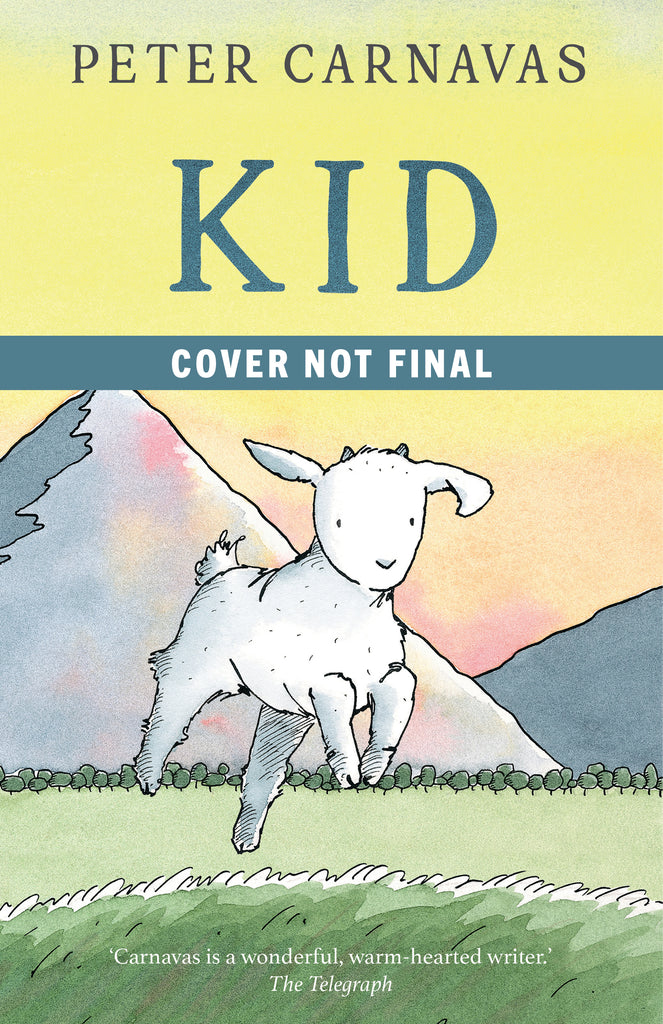  Kid 