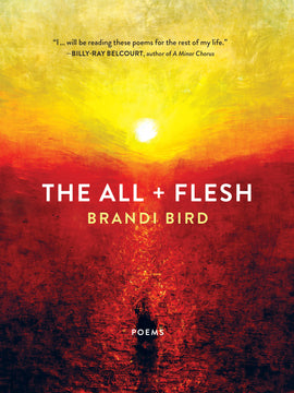  Cover: The All + Flesh, poems by Brandi Bird. A vibrant, impressionist-style painting of a golden sunset over a red horizon. The sky blends from teal at the top to a bright yellow around the white sun, which reflects like a flaming spotlight on the ground. The brush strokes are cross-hatched in the sky, giving the appearance of downward motion, while the ground appears sponged. 