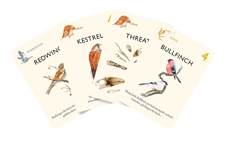  The Game of Birds 
