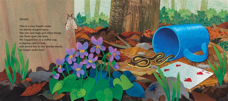 This Tiny Snake Vanished Then Re Emerged After 20 Years - sp8xipm