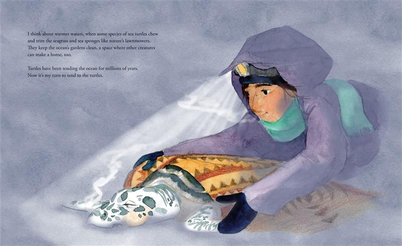  Taking Turns with Turtles 