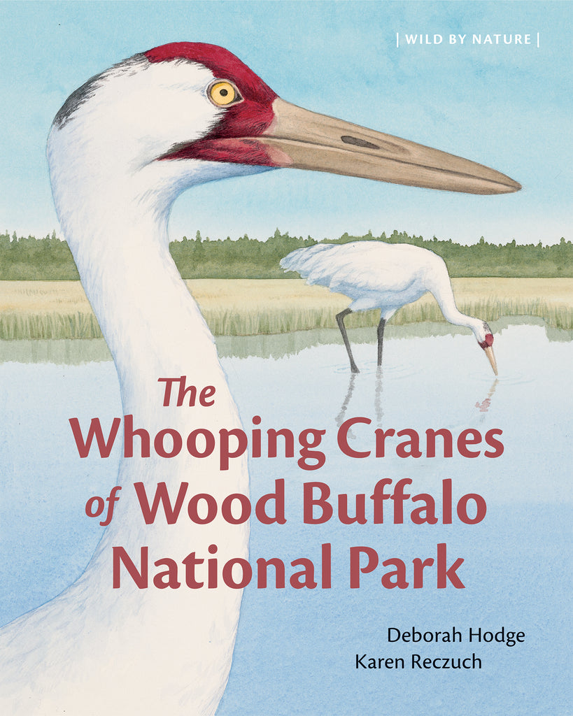  The Whooping Cranes of Wood Buffalo National Park 
