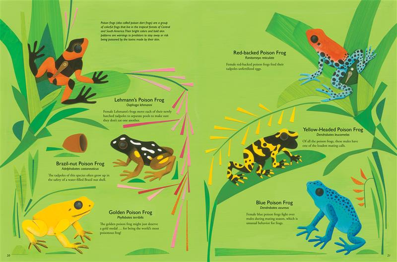  My Book of Frogs and Toads 