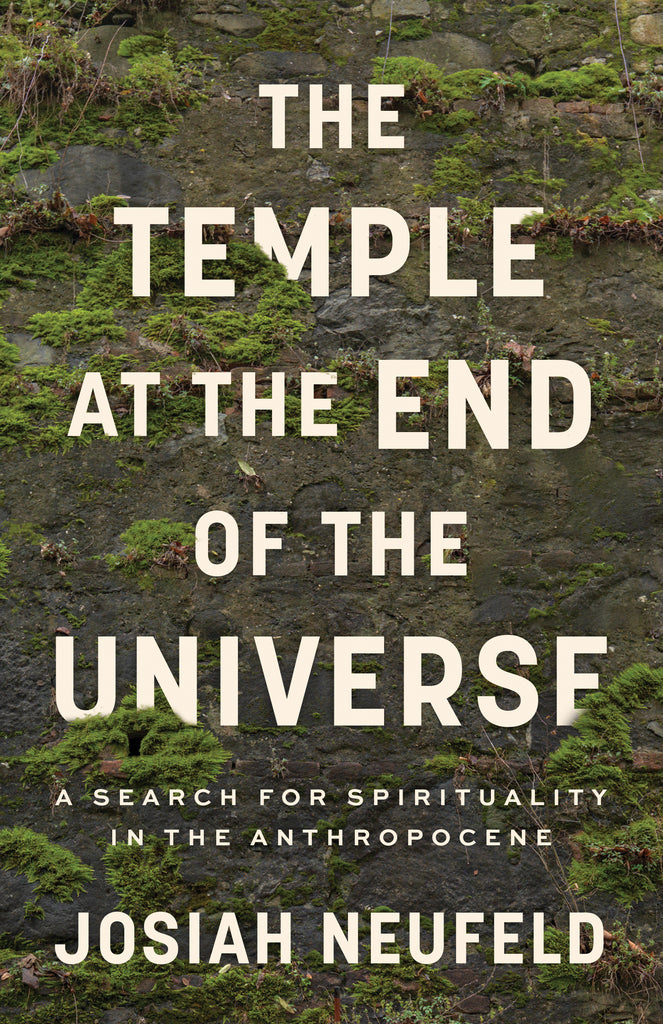  The Temple at the End of the Universe 