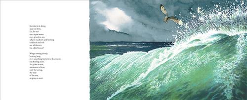  This image is a double page spread. To the left is text that questions why an owl is so far out in the ocean where there are only fish to eat. It searches for a field or fence but there is nowhere to rest. To the right is a large wave crashing with white foam against itself. The sky is dark and so is the water behind the wave. A brown owl flies above the wave. 
