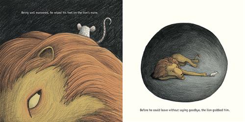  This image is a double page spread. To left is the head of a lion with only one eye showing. It is looking up into its mane. In its mane is a grey mouse. Text: Being well mannered, he wiped his feet on the lion’s mane. To the right is a lion lying down in the dark. It has one paw stretched out holding a grey mouse by its tail. Text: Before he could leave without saying goodbye, the lion grabbed him. 