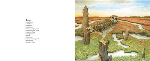  This image is a double page spread. To the left is text describing an owl who flies over fields and marshes. He is brown with yellow eyes, and he eats mice and voles. To the right is a brown owl with a white face and belly sitting on a tall tree stump in a marsh. The marsh is green and orange with other tall tree stumps in it as well. 