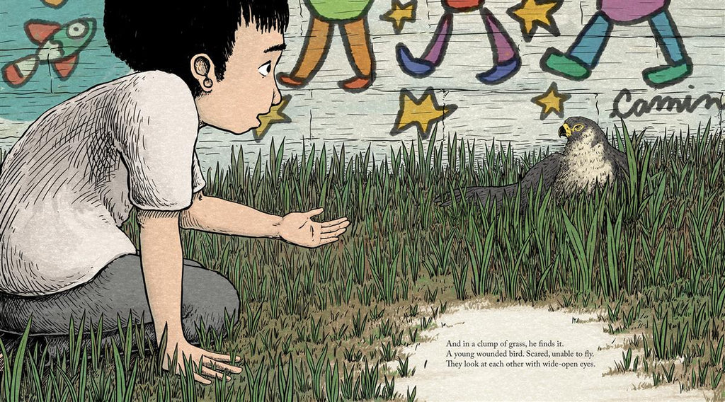  A boy with light skin tone is kneeling in the grass with one arm reaching out. In front of him is a mid-sized grey and white bird sitting in the grass. Behind them is a wall of graffiti. Text: And in a clump of grass, he finds it. A young wounded bird. Scared, unable to fly. They look at each other with wide-open eyes. 