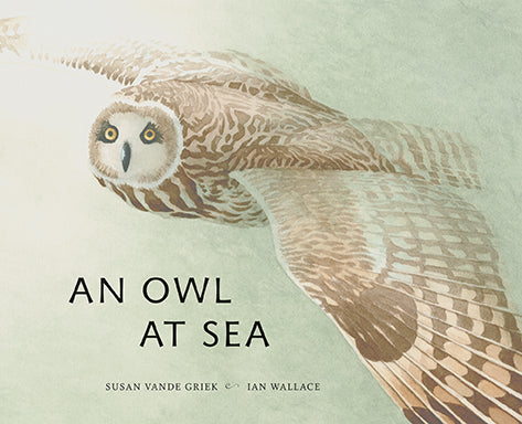  A brown owl flies through mist. Its eyes are yellow. Its feathers are spotted and striped with different shades of brown. Text: An Owl at Sea. Susan Vande Griek. Ian Wallace. 