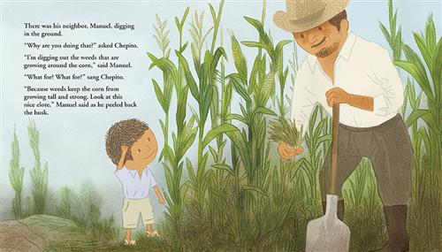  A man with medium skin tone stands in a corn field with a shovel in one hand and weeds in the other. He looks down at a boy with medium skin tone with one hand on his head. Text: There was his neighbor, Manuel, digging in the ground. “Why are you doing that?” asked Chepito. “I’m digging out the weeds that are growing around the corn,” said Manuel. “What for? What for?” sang Chepito. “Because weeds keep the corn from growing tall and strong. Look at this nice elote,” Manuel said as he peeled back the husk. 