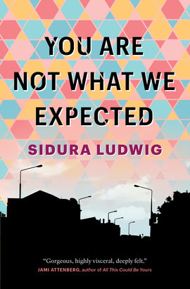  The silhouette of a city street is against a light sky. The sky is filled with a geometric pattern of triangles in pink, yellow, and blue. Text: You Are Not What We Expected. Sidura Ludwig. “Gorgeous, highly visceral, deeply felt.” Jami Attenberg, author of All This Could Be Yours. 