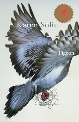  Pigeon 