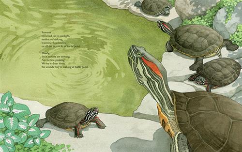 Turtle Pond – House of Anansi Press