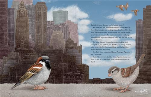  The Triumphant Tale of the House Sparrow 
