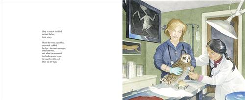  This image is a double page spread. To the left is text saying the owl is taken to an aviary where it is nursed back to health until it is strong enough to be released. To the right is a room with an IV, a bright overhead light, a metal table, and a bird’s x-ray showing on a screen. There is a woman with light skin tone and another with medium skin tone who wears a doctor’s coat. They both wear stethoscopes. They hold the owl on the table. The woman in the coat holds her stethoscope to the owl’s chest. 