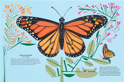  A butterfly with a black body and black and orange wings takes up the page. Around it are pink and orange flowers. A branch with leaves has a yellow, black, and white striped caterpillar, and an orange and black butterfly. The butterfly is labelled “Monarch Butterfly.” The text has facts and information about Monarch butterflies. 