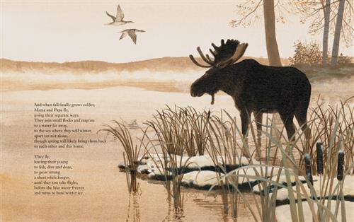  A moose stands in shallow water by reeds. Two loons fly above. Text: And when fall finally grows colder, Mama and Papa fly, going their separate ways. They join small flocks and migrate to a water far away, to the sea where they will winter, apart yet not alone, though spring will likely bring them back to each other and this home. They fly, leaving their young to fish, dive and doze, to grow strong a short while longer, until they too take flight, before the lake water freezes and turns to hard winter ice. 