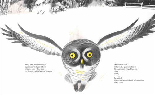  This image is in shades of black and white. It is nighttime. An owl with yellow eyes and some yellow feathers flies toward the page. The ground is white, and across a yard are a fence, trees, and some bushes. Text: Once upon a northern night, a great gray owl gazed down with his great yellow eyes on the milky white bowl of your yard. Without a sound, not even the quietest whisper, his great silent wings lifted and down, down, down, he drifted, leaving a feathered sketch of his passing in the snow. 
