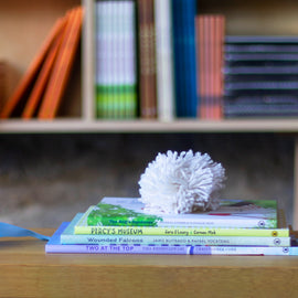  A photo of a stack of picture books, spines out, sitting on a wooden bench. An off-white pompom made of thick yarn sits on top of the stack. The books are: The Dog’s Gardener, Percy’s Museum, Wounded Falcons, and Two at the Top. 