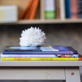  A photo of four picture books in a stack on top of a wooden bench. An off-white pompom made of thick yarn sits on top of the stack. The books are: Once in a Blue Mono, Song for the Snow, A Kid Is a Kid Is a Kid, and My Mad Hair Day. 